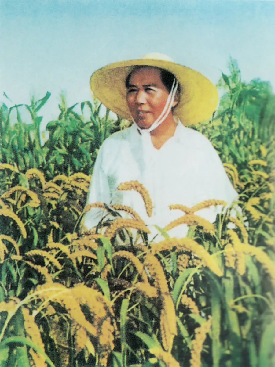 Mao Zedong mit Hut in einem Reisfeld